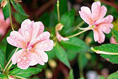 《饥饿派画家2》Switch版现已在全球范围发售